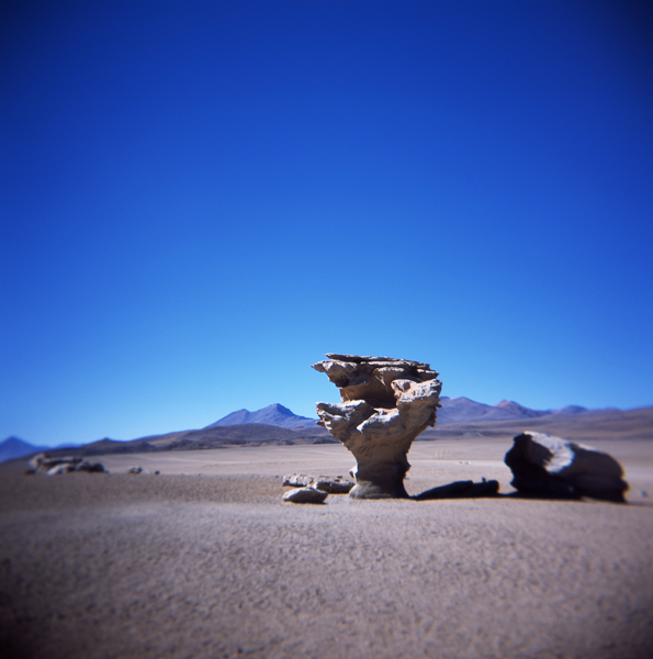 50. 07 - JEEP _ Arbol de piedra _ Holga_Fuji100DIAPO_119